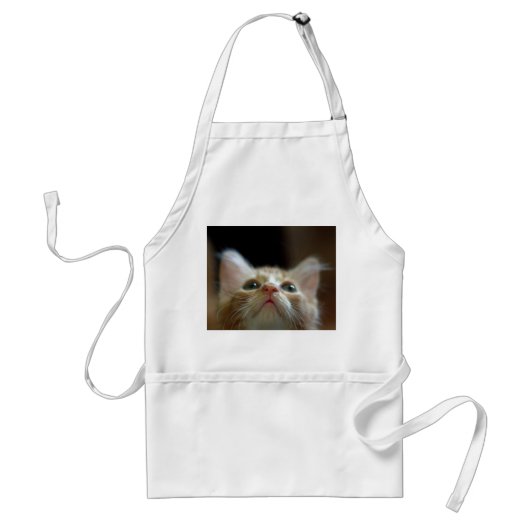 Apron met Oranje tablet Kitten Standaard Schort (Voorkant)