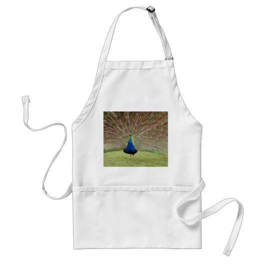 Apron met Peacock-ontwerp Standaard Schort (Voorkant)