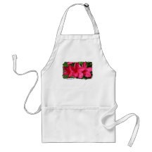 apron - roze plumerias