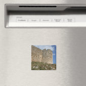 Aptera Fort Magnet (Insitu (Vaatwasser))