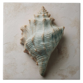 Aqua and Sand Coastal Conch Shell Tegeltje