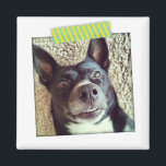 Aqua and Yellow Washi Tape Instagram Magnet<br><div class="desc">Creëer uw eigen leuke Instagram-fotomagneet met een groene striped washi tape-detail.</div>