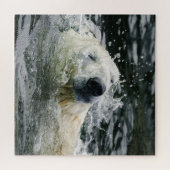 Aqua Aura van het polaire Beer Legpuzzel (Horizontaal)