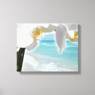 Aqua Beach Orchid Canvas Afdruk