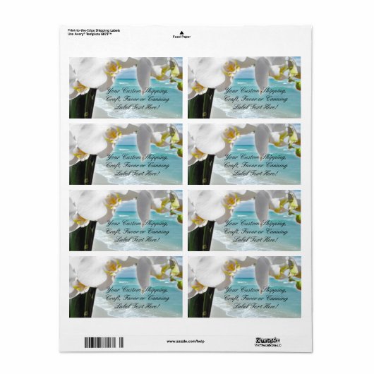 Aqua Beach Orchid Etiket (Full Sheet)