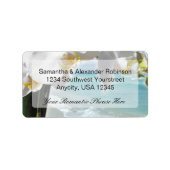 Aqua Beach Orchid Etiket (Voorkant)