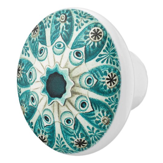 Aqua Blauwgroen Marine Tunicate Illustratie 🌀✨ Keramische Knop (Rechts)