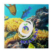 Aqua Blend Tegeltje (Voorkant)