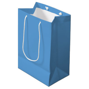 Aqua Blue Bruiloftsfeest Medium Cadeauzakje