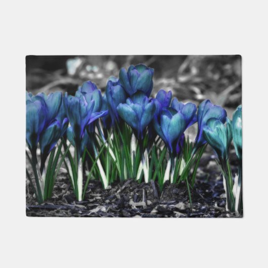 Aqua Blue Crocus Blooms Deurmat (Voorkant)