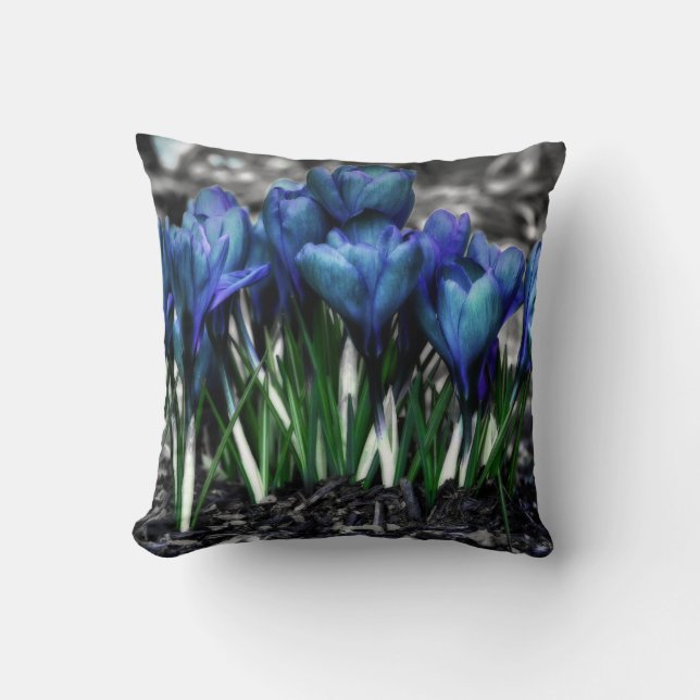 Aqua Blue Crocus Blooms Kussen (Voorkant)