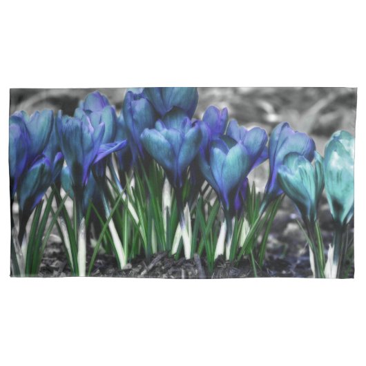 Aqua Blue Crocus Blooms Kussensloop (Voorkant)