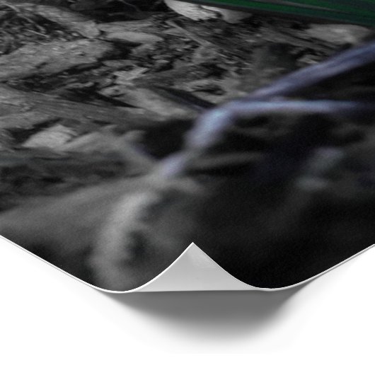 Aqua Blue Crocus Blooms Poster (Hoek)