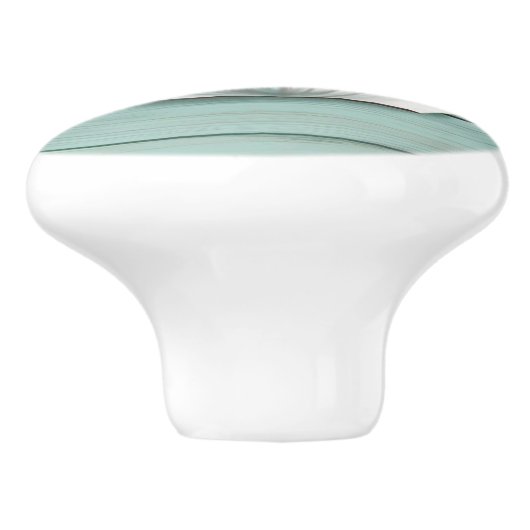 Aqua Blue Seashell Faux Wood Shell Lade knop (Zijkant)