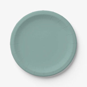 Aqua Blue Solid Color Papieren Bordje
