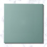 Aqua Blue Solid Color Tegeltje<br><div class="desc">Aqua Blue Solid Color</div>