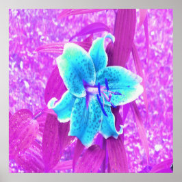 Aqua Blue Stargazer Lily op Paars Poster