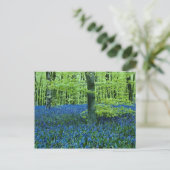 Aqua Bluebell Bossen bloemen Briefkaart (Staand voorkant)
