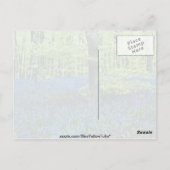 Aqua Bluebell Bossen bloemen Briefkaart (Achterkant)