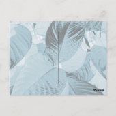 Aqua Botanical Leaves Post Kaart () (Achterkant)