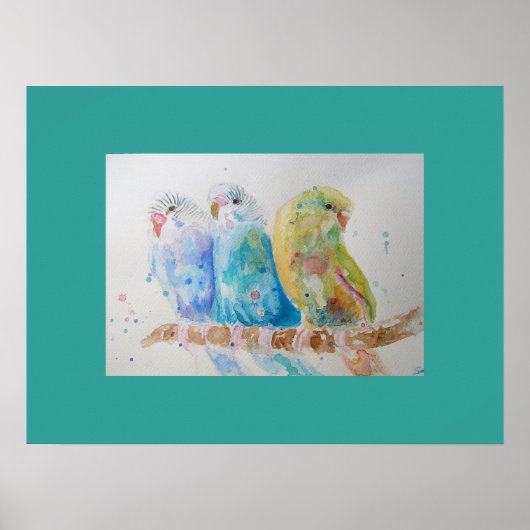 Aqua Budgie is schattig Waterverf Poster (Voorkant)