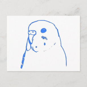 Aqua Budgie Portrait Briefkaart
