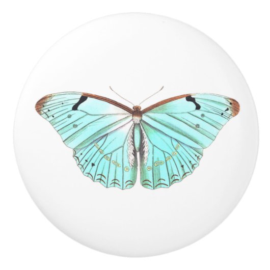 Aqua Butterfly Keramische Knop (Voorkant)
