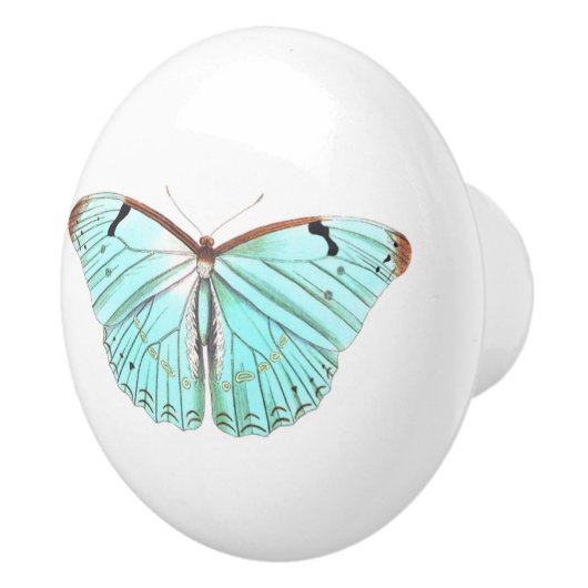 Aqua Butterfly Keramische Knop (Rechts)