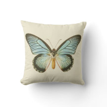 Aqua Butterfly Pillow