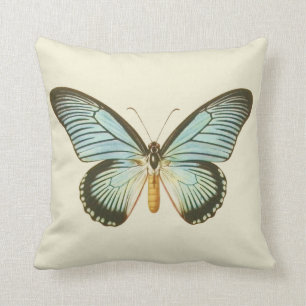  Aqua Butterfly Pillow Kussen