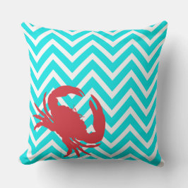Aqua Chevron Grappige Accent Kussen