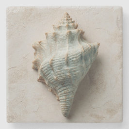 Aqua Conch Schelp Kust Kunst Stenen Onderzetter