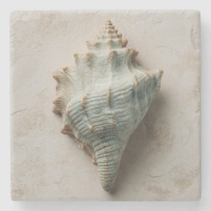 Aqua Conch Schelp Kust Kunst Stenen Onderzetter