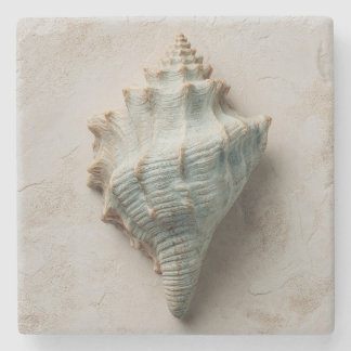 Aqua Conch Schelp Kust Kunst Stenen Onderzetter
