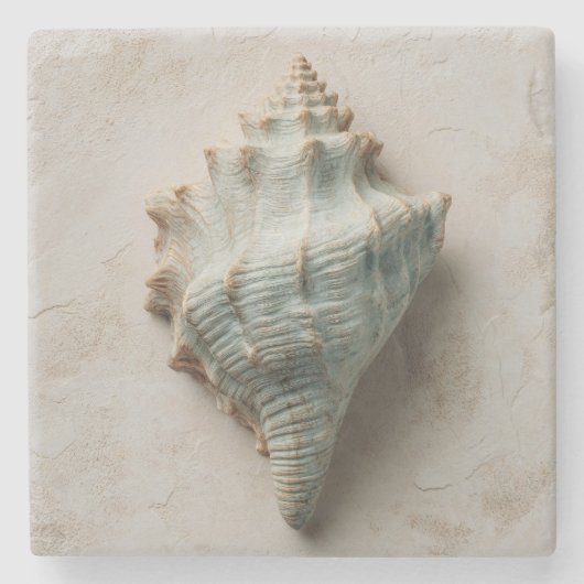 Aqua Conch Schelp Kust Kunst Stenen Onderzetter (Voorkant)