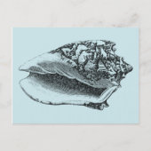 Aqua Conch Shell Briefkaart (Voorkant)