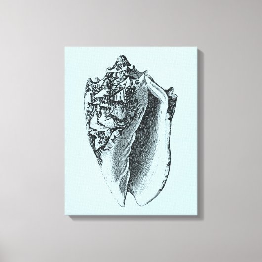 Aqua Conch Shell Canvas Afdruk (Voorkant)
