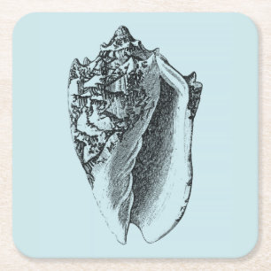 Aqua Conch Shell Kartonnen Onderzetters