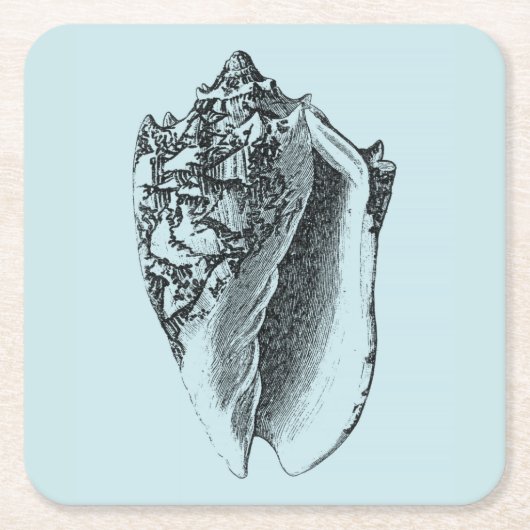Aqua Conch Shell Kartonnen Onderzetters (Voorkant)