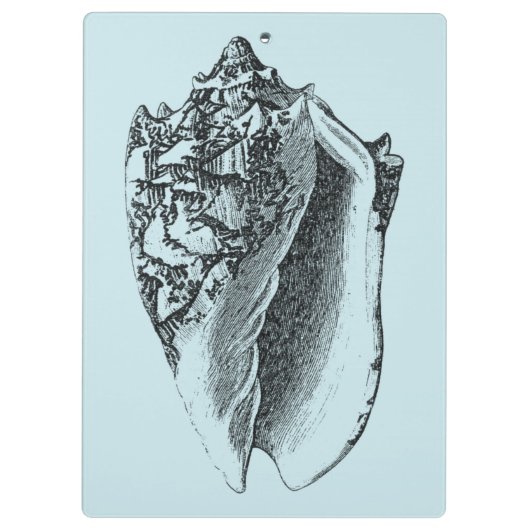 Aqua Conch Shell Klembord (Achterkant)