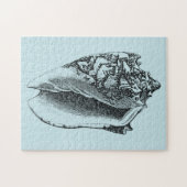 Aqua Conch Shell Legpuzzel (Horizontaal)