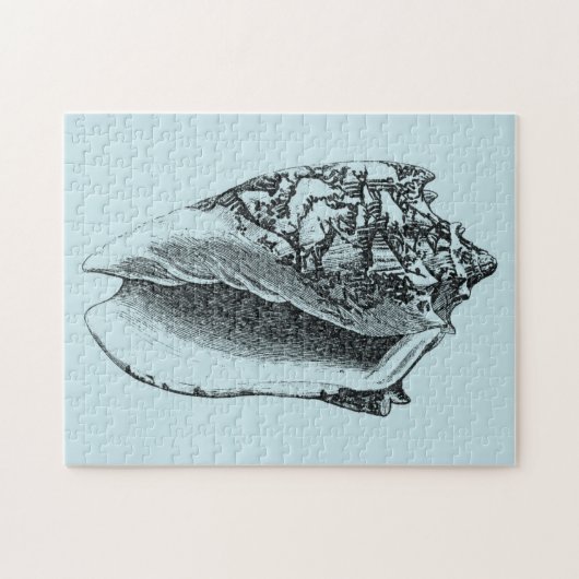 Aqua Conch Shell Legpuzzel (Horizontaal)