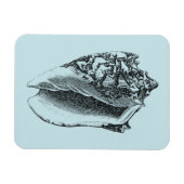 Aqua Conch Shell Magneet (Horizontaal)