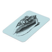 Aqua Conch Shell Magneet (Linkerzijde)