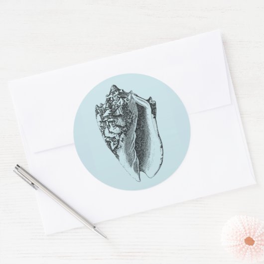 Aqua Conch Shell Ronde Sticker (Envelop)