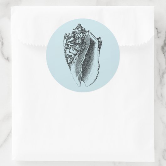 Aqua Conch Shell Ronde Sticker (Tas)