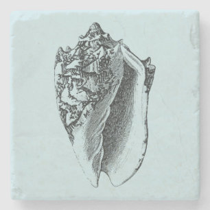 Aqua Conch Shell Stenen Onderzetter