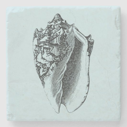 Aqua Conch Shell Stenen Onderzetter (Voorkant)