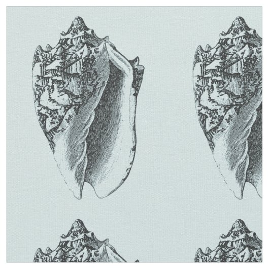 Aqua Conch Shell Stof (Close Up)