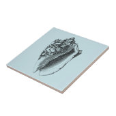 Aqua Conch Shell Tegeltje (Zijkant)